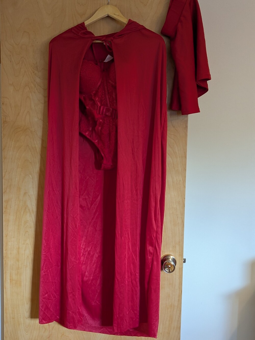 Sexy Devil Costume In Excellent Condition